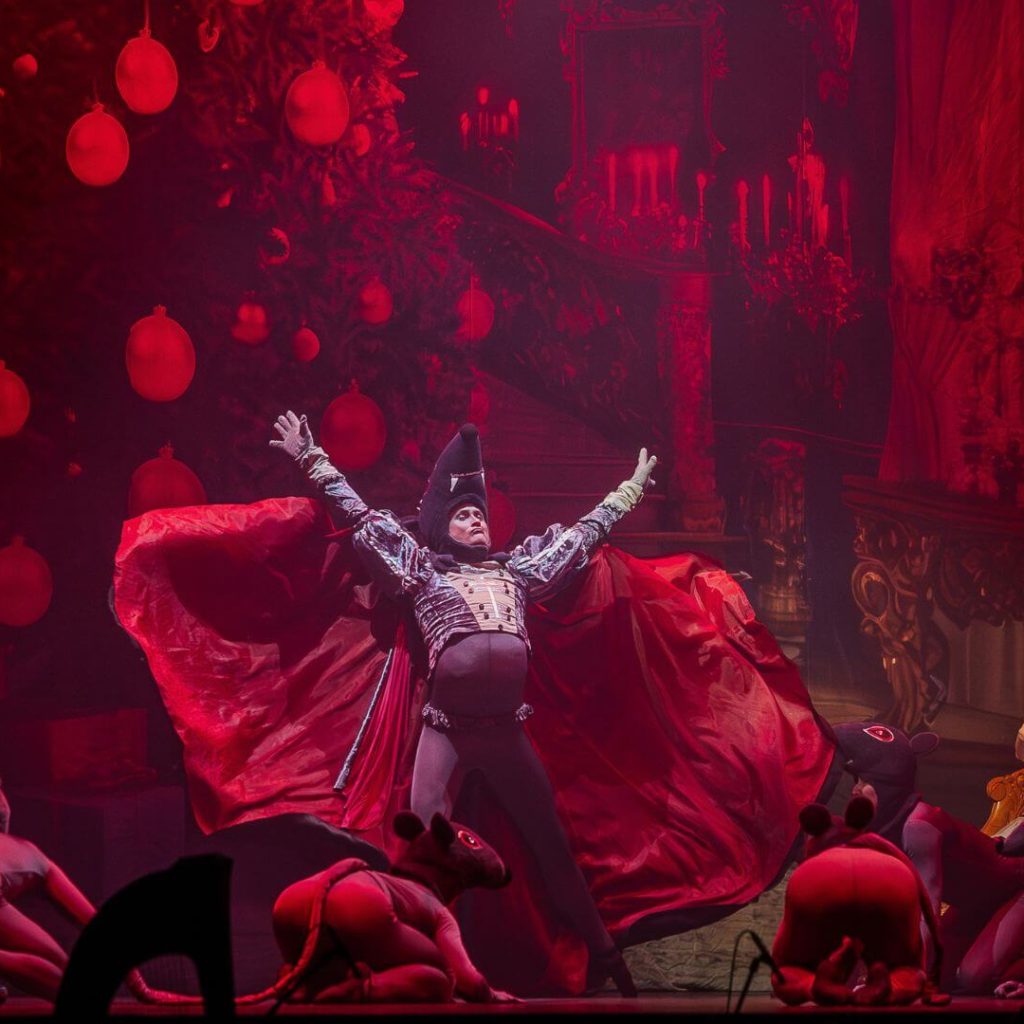 diotoro-balett-bok13